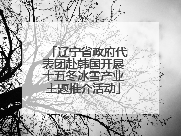 辽宁省政府代表团赴韩国开展十五冬冰雪产业主题推介活动