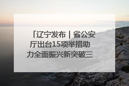 辽宁发布｜省公安厅出台15项举措助力全面振兴新突破三年行动决胜之战