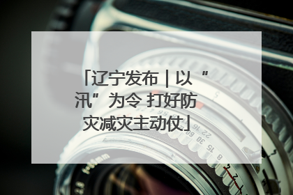 辽宁发布｜以“汛”为令 打好防灾减灾主动仗