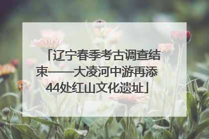 辽宁春季考古调查结束——大凌河中游再添44处红山文化遗址