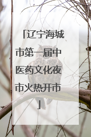 辽宁海城市第一届中医药文化夜市火热开市