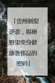 贵州刺梨逆袭，揭秘野果变身健康奢侈品的密码