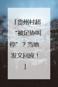 贵州村超“被足协叫停”？当地发文回应！