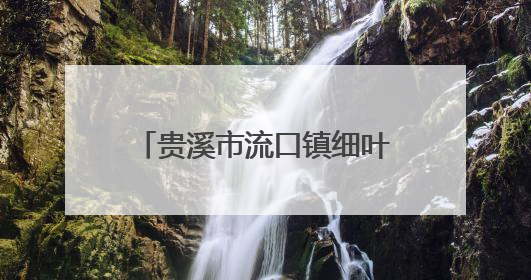 贵溪市流口镇细叶村：盘活闲置资源助力乡村振兴（图）