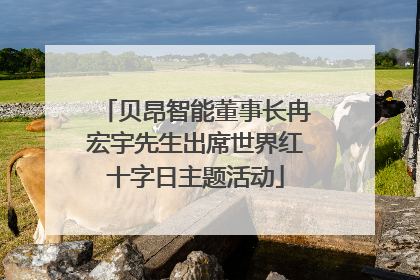 贝昂智能董事长冉宏宇先生出席世界红十字日主题活动