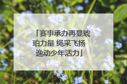 赛事承办再显琥珀力量 绳采飞扬逸动少年活力