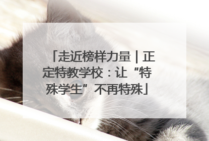 走近榜样力量｜正定特教学校：让“特殊学生”不再特殊