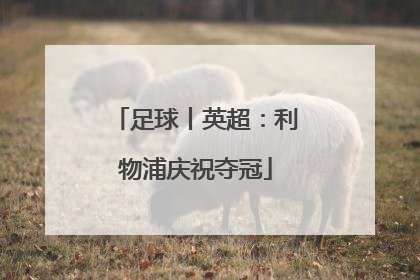 足球丨英超：利物浦庆祝夺冠