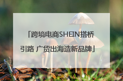 跨境电商SHEIN搭桥引路 广货出海造新品牌