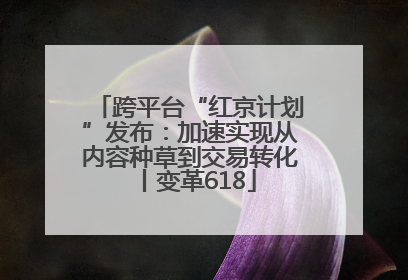 跨平台“红京计划”发布：加速实现从内容种草到交易转化丨变革618