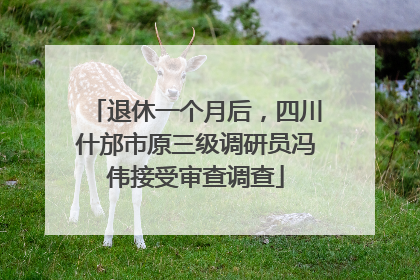 退休一个月后，四川什邡市原三级调研员冯伟接受审查调查