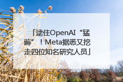 逮住OpenAI“猛薅”！Meta据悉又挖走四位知名研究人员
