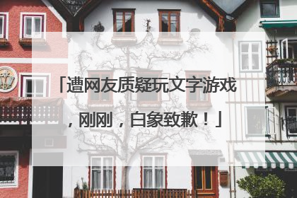 遭网友质疑玩文字游戏，刚刚，白象致歉！