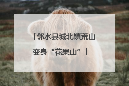 邻水县城北镇荒山变身“花果山”