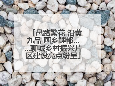 邑路繁花 沿黄九品 画乡鲤都……聊城乡村振兴片区建设亮点纷呈
