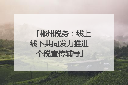 郴州税务：线上线下共同发力推进个税宣传辅导