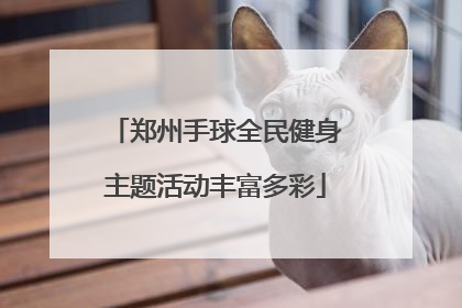 郑州手球全民健身主题活动丰富多彩