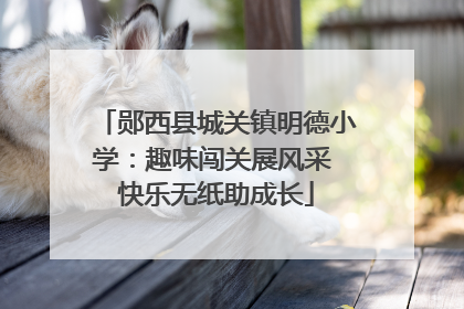 郧西县城关镇明德小学：趣味闯关展风采 快乐无纸助成长
