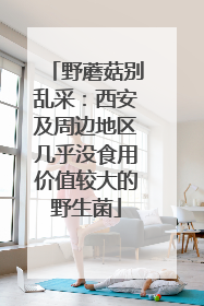 野蘑菇别乱采：西安及周边地区几乎没食用价值较大的野生菌