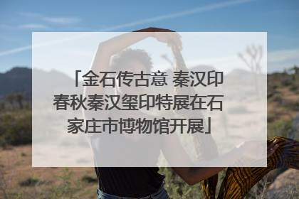 金石传古意 秦汉印春秋秦汉玺印特展在石家庄市博物馆开展