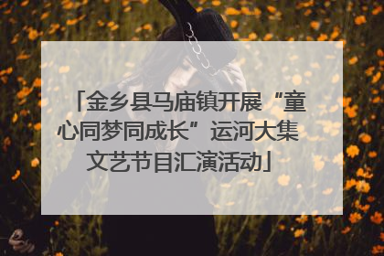 金乡县马庙镇开展“童心同梦同成长”运河大集文艺节目汇演活动