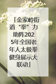 金家岭街道“拳”力助阵2025年全国老年人太极拳健身展示大联动