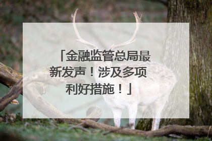 金融监管总局最新发声！涉及多项利好措施！