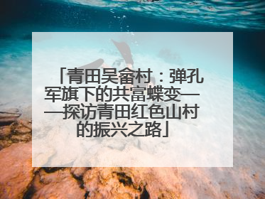 青田吴畲村：弹孔军旗下的共富蝶变——探访青田红色山村的振兴之路