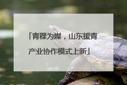青稞为媒，山东援青产业协作模式上新