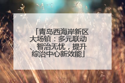 青岛西海岸新区大场镇：多元联动、智治无忧，提升综治中心新效能