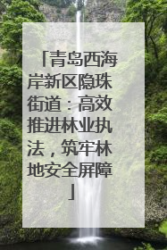 青岛西海岸新区隐珠街道：高效推进林业执法，筑牢林地安全屏障