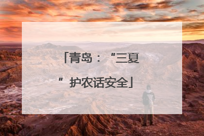青岛：“三夏”护农话安全