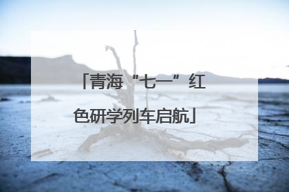 青海“七一”红色研学列车启航