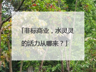 非标商业，水灵灵的活力从哪来？