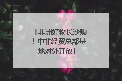 非洲好物长沙购！中非经贸总部基地对外开放