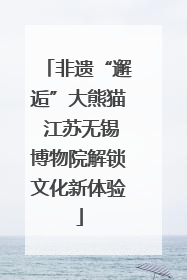 非遗“邂逅”大熊猫 江苏无锡博物院解锁文化新体验