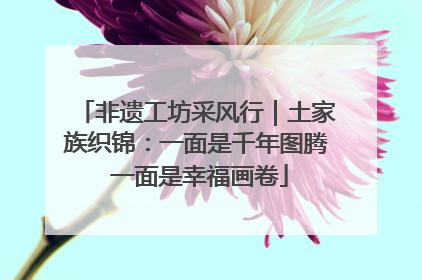 非遗工坊采风行｜土家族织锦：一面是千年图腾 一面是幸福画卷