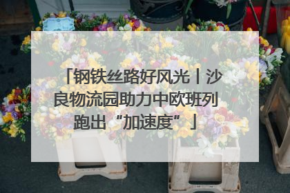 钢铁丝路好风光丨沙良物流园助力中欧班列跑出“加速度”