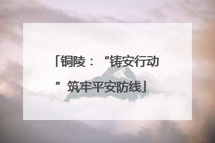 铜陵：“铸安行动”筑牢平安防线