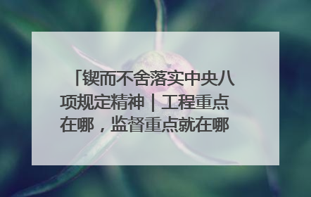 锲而不舍落实中央八项规定精神｜工程重点在哪，监督重点就在哪——广西深化政治监督护航平陆运河建设