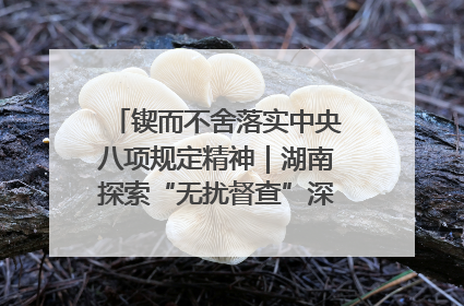 锲而不舍落实中央八项规定精神｜湖南探索“无扰督查”深化基层减负