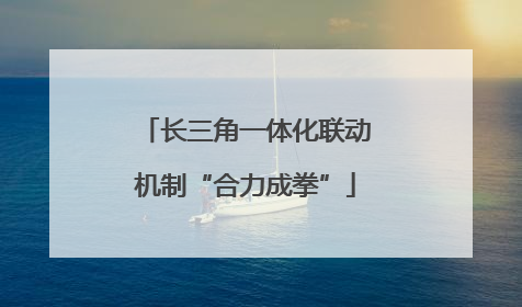 长三角一体化联动机制“合力成拳”