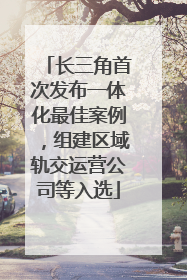 长三角首次发布一体化最佳案例，组建区域轨交运营公司等入选
