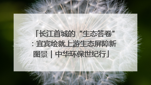 长江首城的“生态答卷”：宜宾绘就上游生态屏障新图景｜中华环保世纪行
