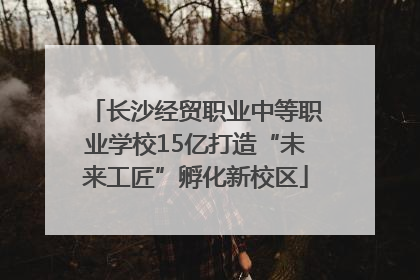 长沙经贸职业中等职业学校15亿打造“未来工匠”孵化新校区