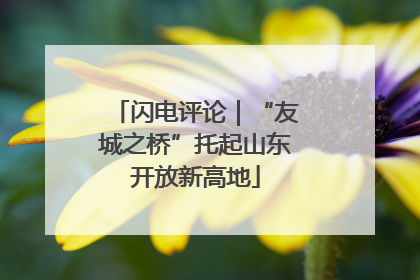闪电评论｜“友城之桥”托起山东开放新高地