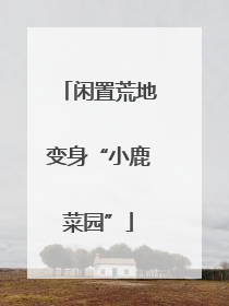 闲置荒地变身“小鹿菜园”