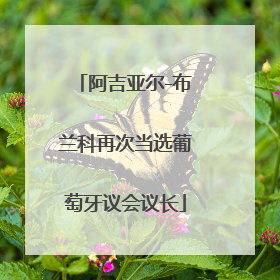 阿吉亚尔-布兰科再次当选葡萄牙议会议长