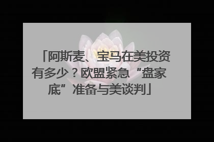 阿斯麦、宝马在美投资有多少？欧盟紧急“盘家底”准备与美谈判