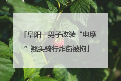 阜阳一男子改装“电摩”翘头骑行炸街被拘
